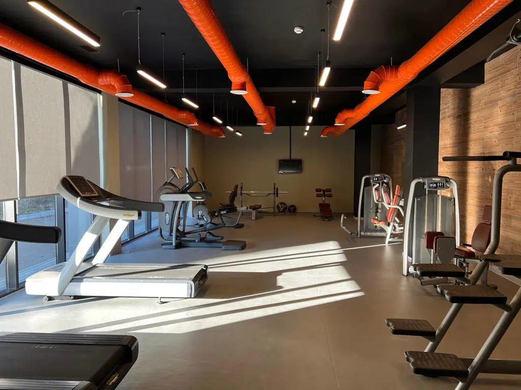 Gallery image